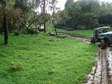 DSC03451