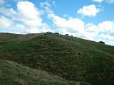 DSCN7423