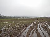 DSCN8720