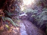 IMG_20170715_120253