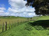 IMG_2752