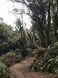 IMG_3698